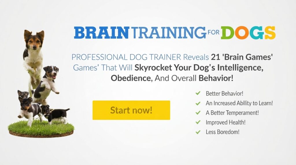 Brain Training for Dogs