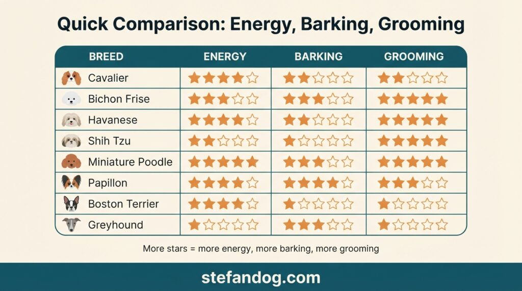 Comparison chart of energy, barking, and grooming levels for eight apartment dog breeds
